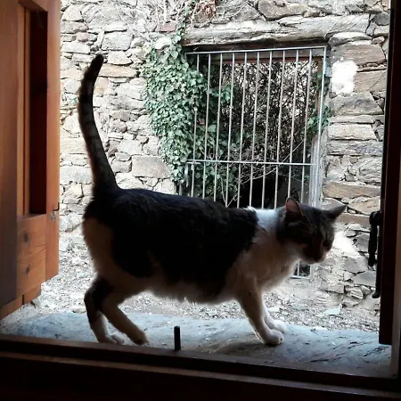 Ca L'andreu Σπίτι διακοπών Ventola