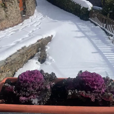 Ca L'andreu Vakantiehuis