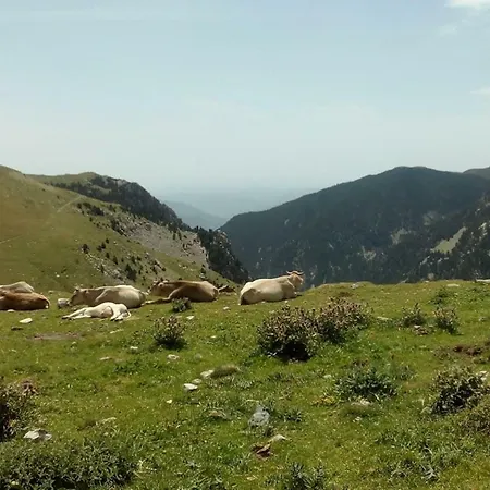Vakantiehuis Ca L'andreu